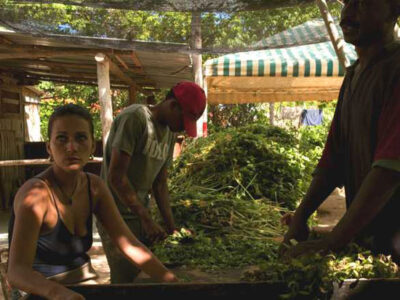 The Urban Farmers of Cuba Image